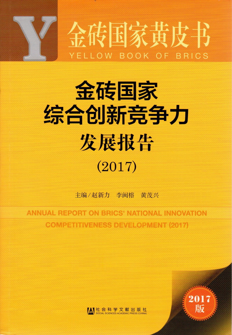 骚逼被干逼网站金砖国家综合创新竞争力发展报告（2017）